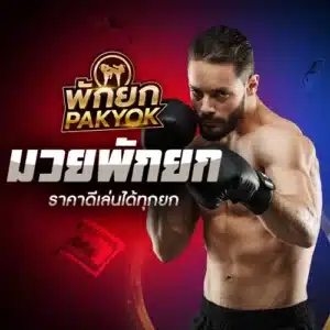 pakyok x