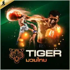 tiger boxing x