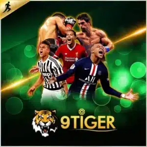 tiger sport x